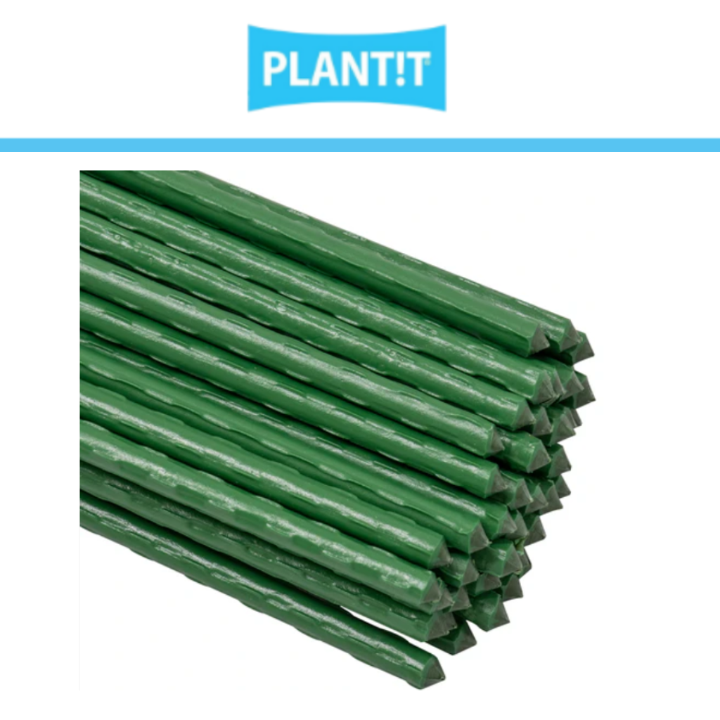 Plant It Green Screw Cane