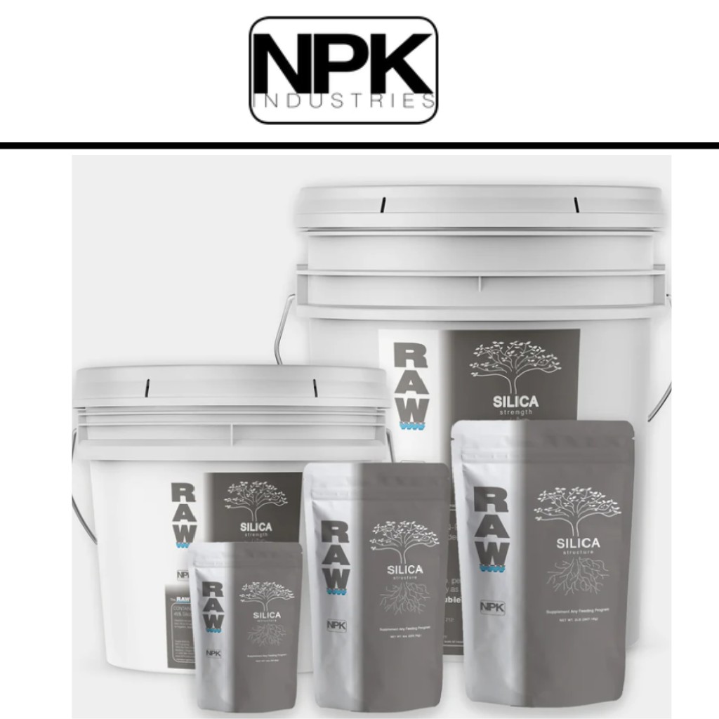 RAW Silica