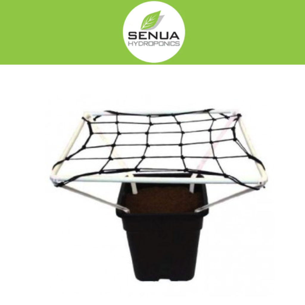 plant support for hydroponics SCROG Net with Frame