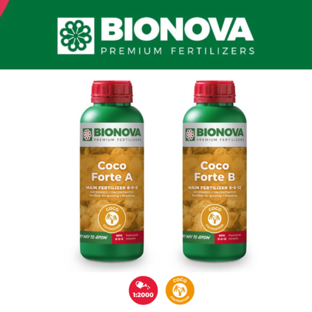Bio Nova  Coco Forte A/B