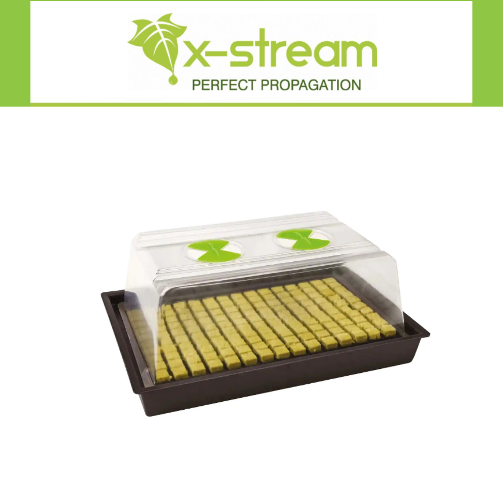 X-Stream Heat Propagator