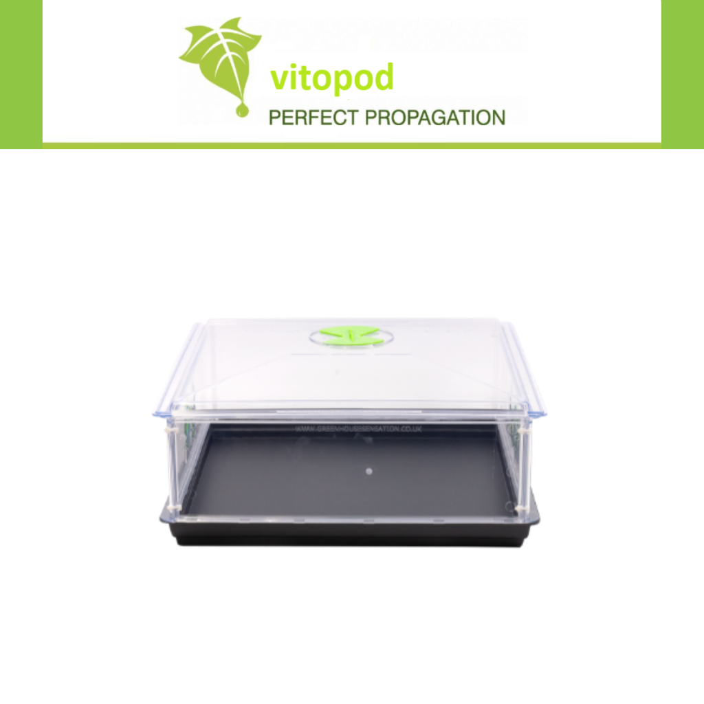 VITOPOD Unheated Propagator