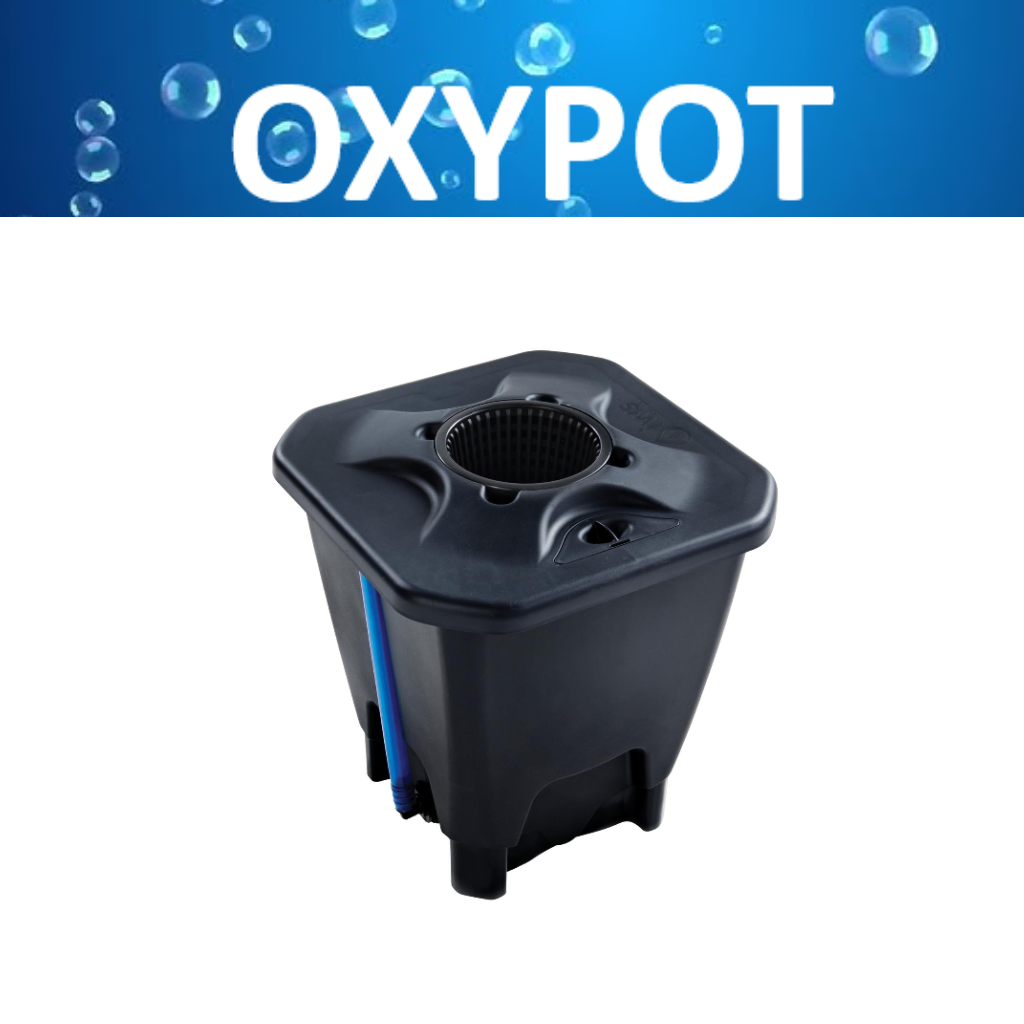 OxyPot Deep Water Culture Systems