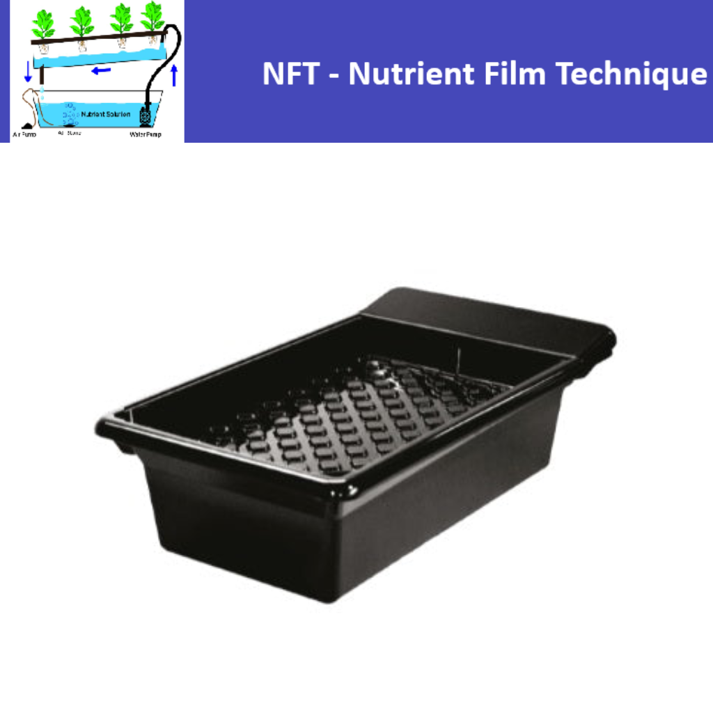 G T System Nutrient Film Technique (NFT)