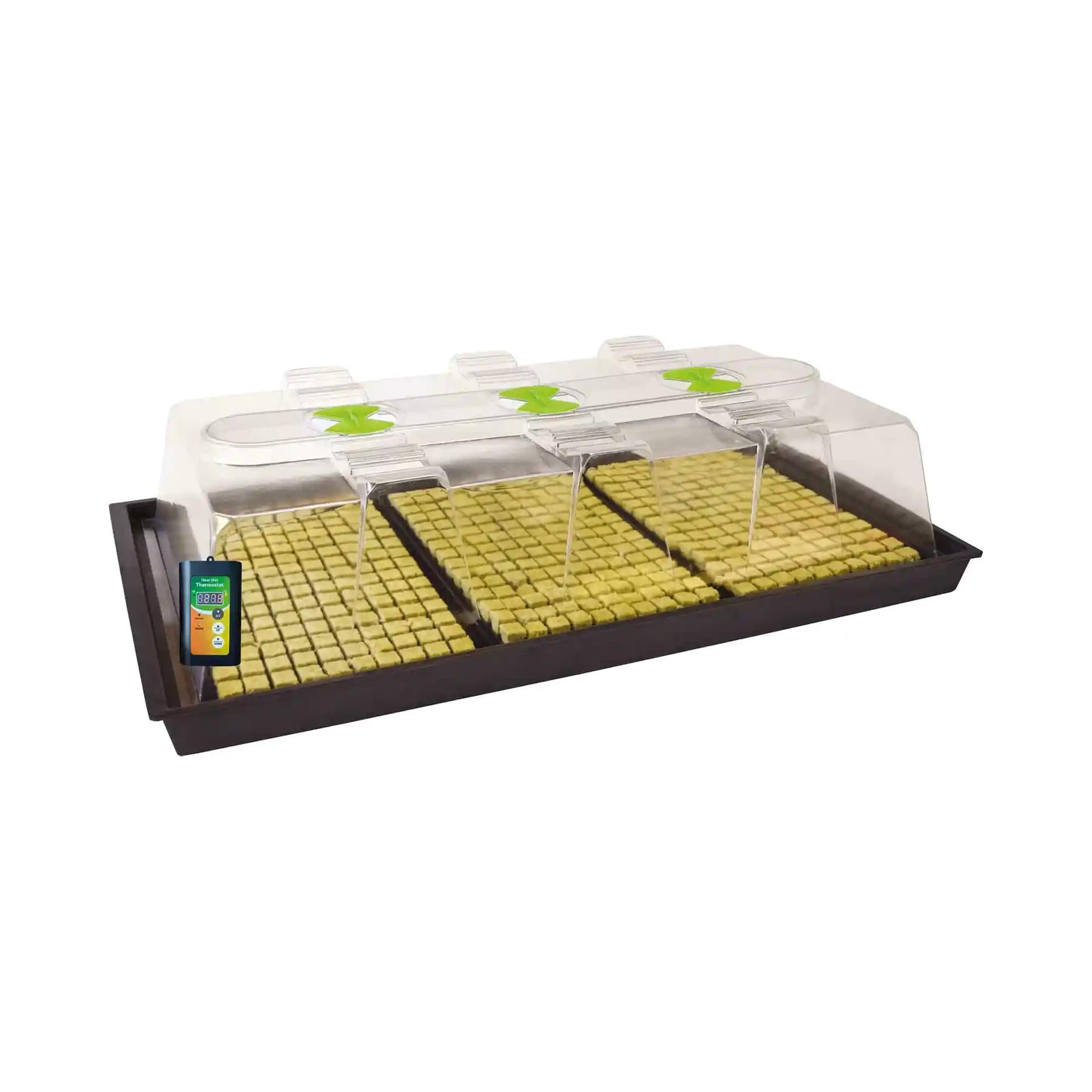 X-Stream Heat Propagator