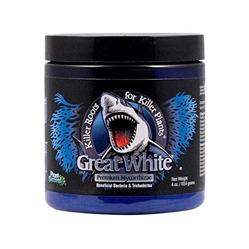 Great White Premium Mycorrhizae Root Enhancer for Optimal Plant