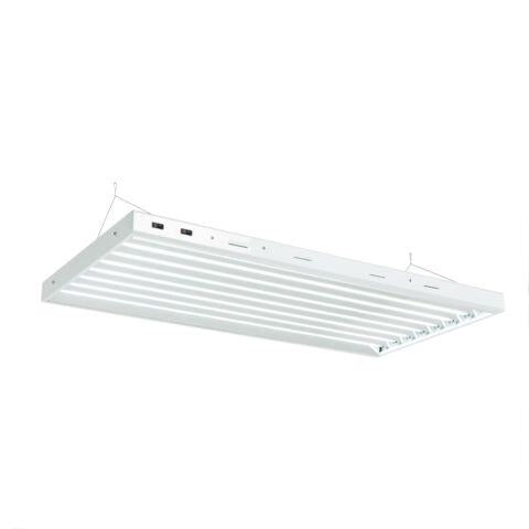Senua T5 Propagation Light