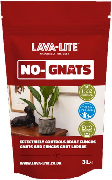 Lava Lite No Gnats