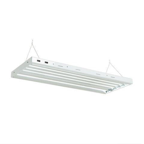Senua T5 Propagation Light
