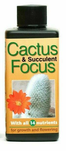 Growth Technology Cactus and Succulent Focus 100ML
