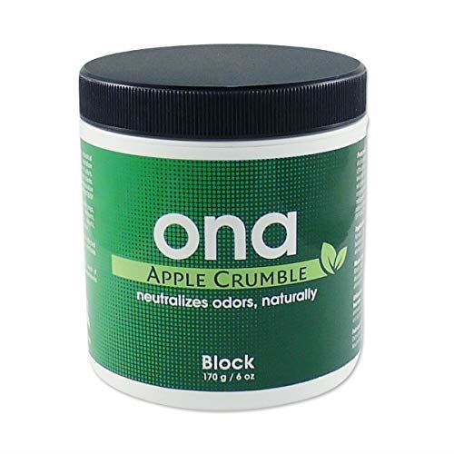 ONA Blocks
