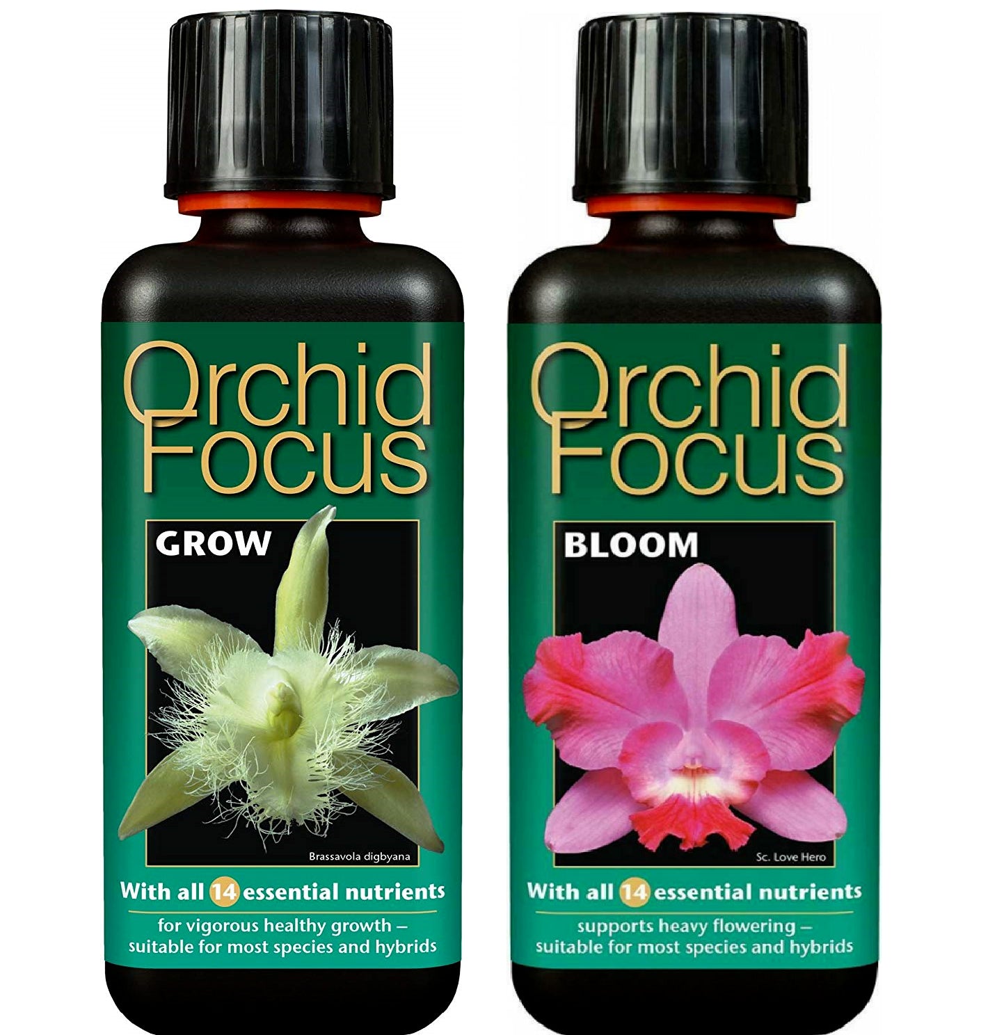 Growth Technology Orchid Focus Grow & Bloom