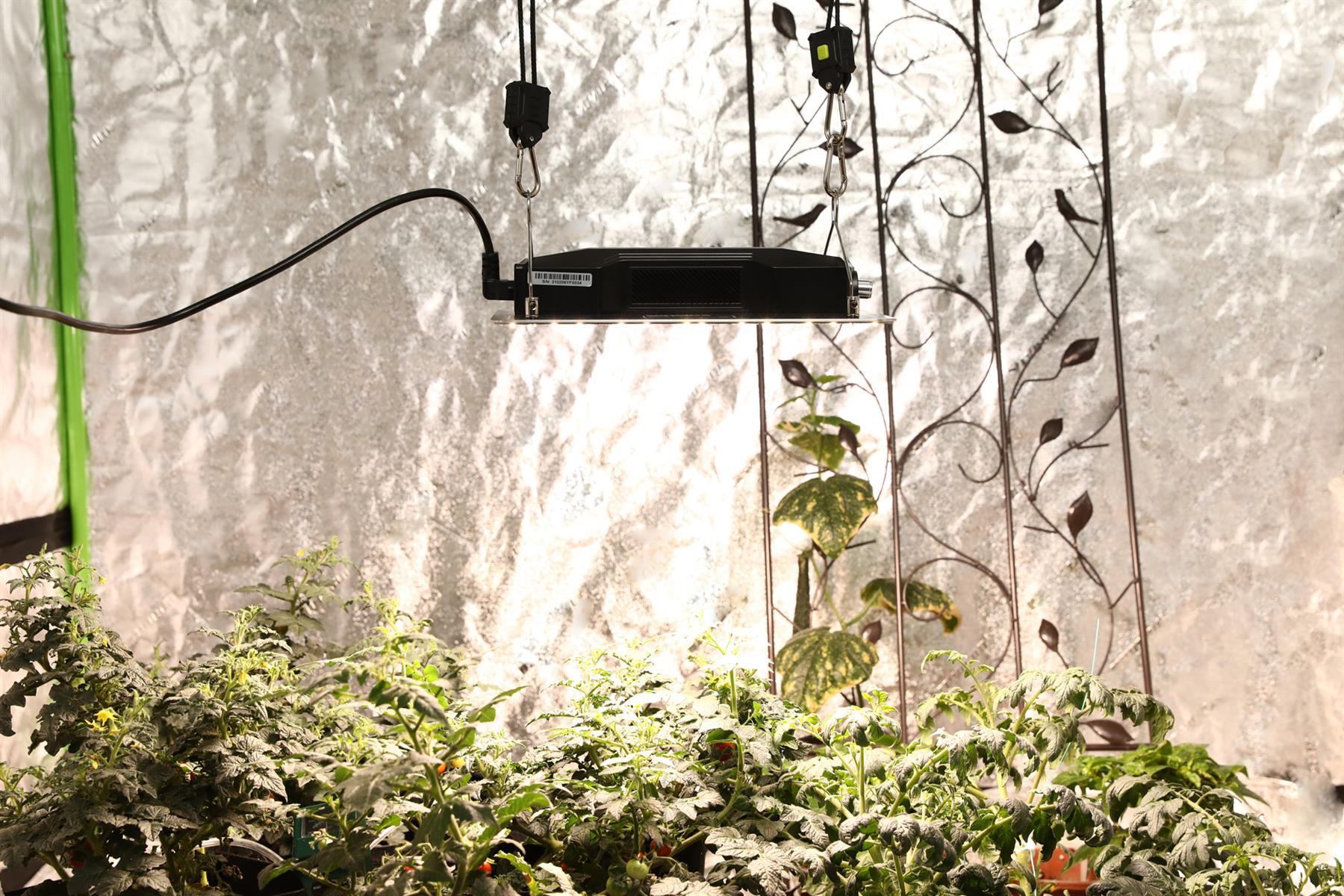 Senelux SE-1000 120W LED Grow Light