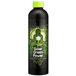Buddhas Tree Solar Green Power