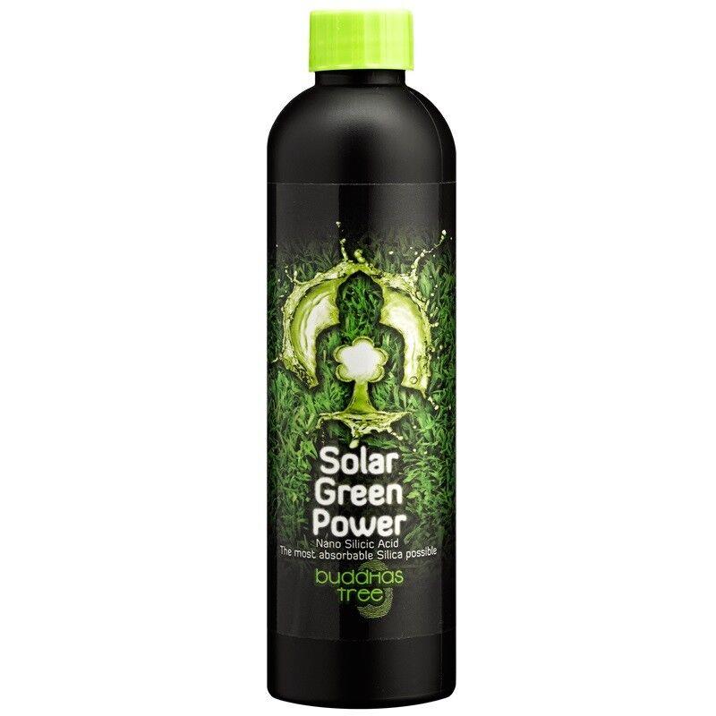 Buddhas Tree Solar Green Power