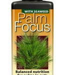 Growth Technology Palm Tree Focus