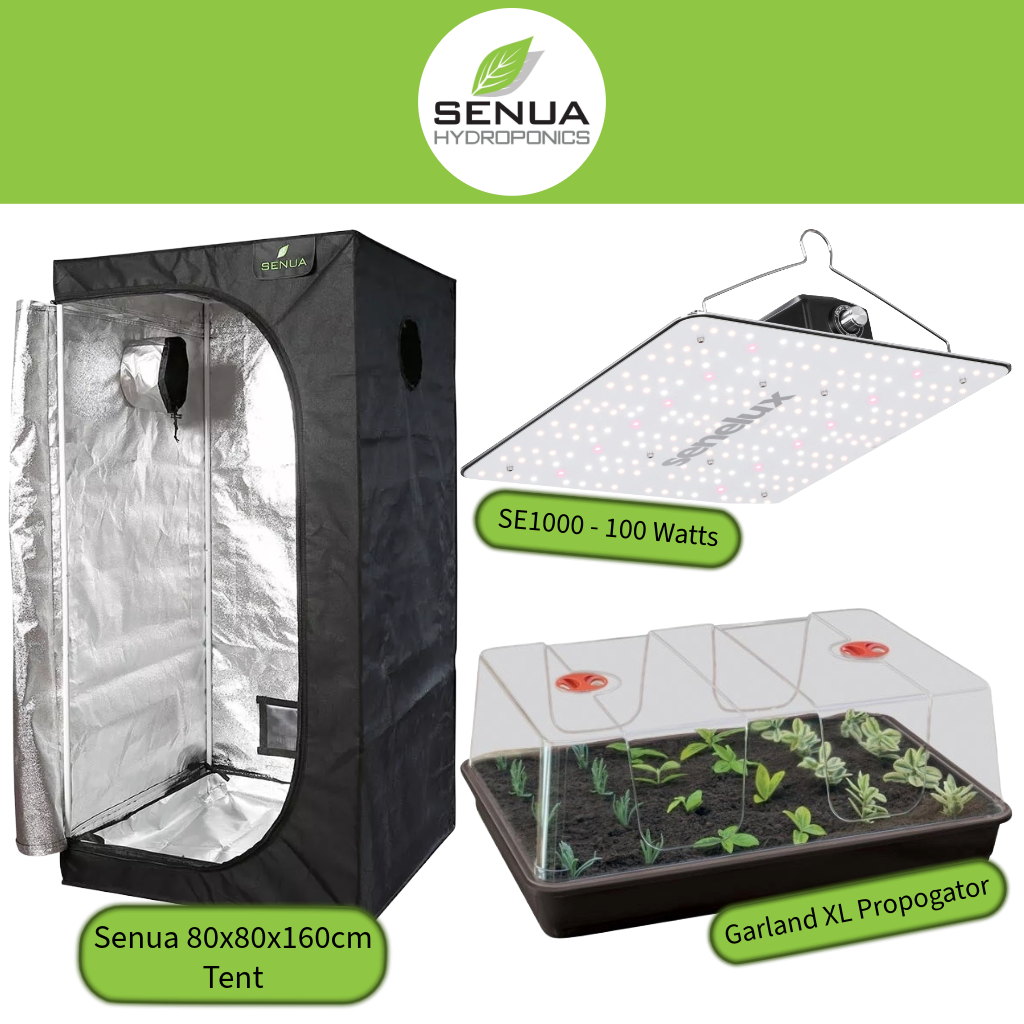 BLACK FRIDAY DEAL - Senelux SE-1000 + Senua Tent 80x80x160cm + Garland XL Propagator