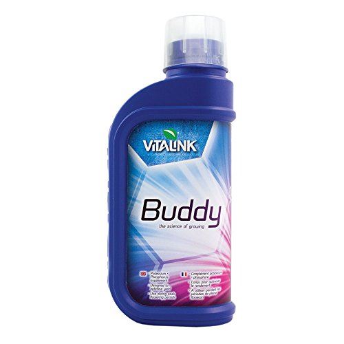 VitaLink Buddy