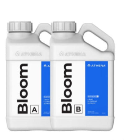 Athena - Blended Line - Bloom A&B 
