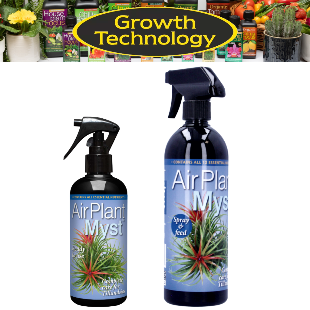 Growth Technology Air Plant Myst