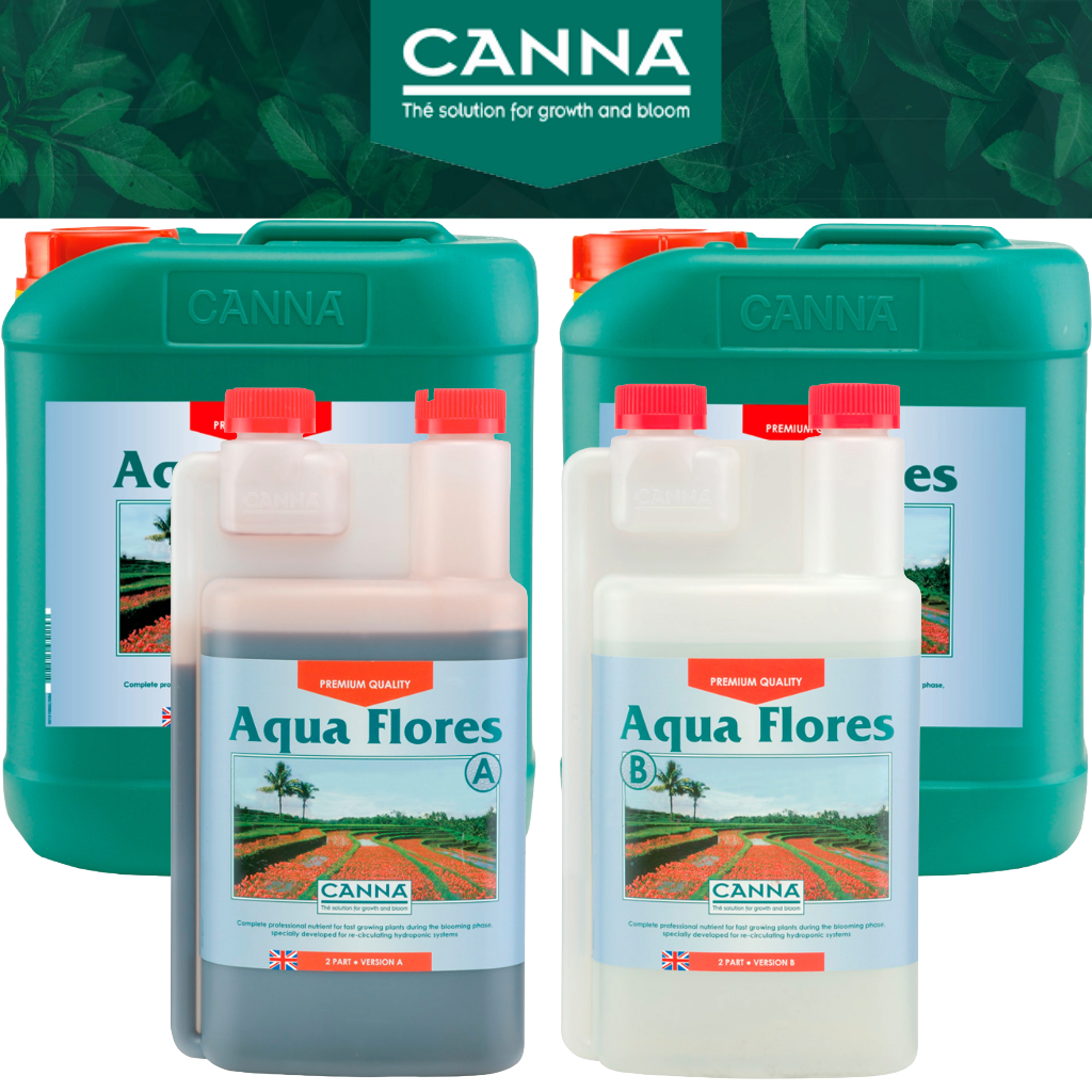 Canna Aqua Flores A&B