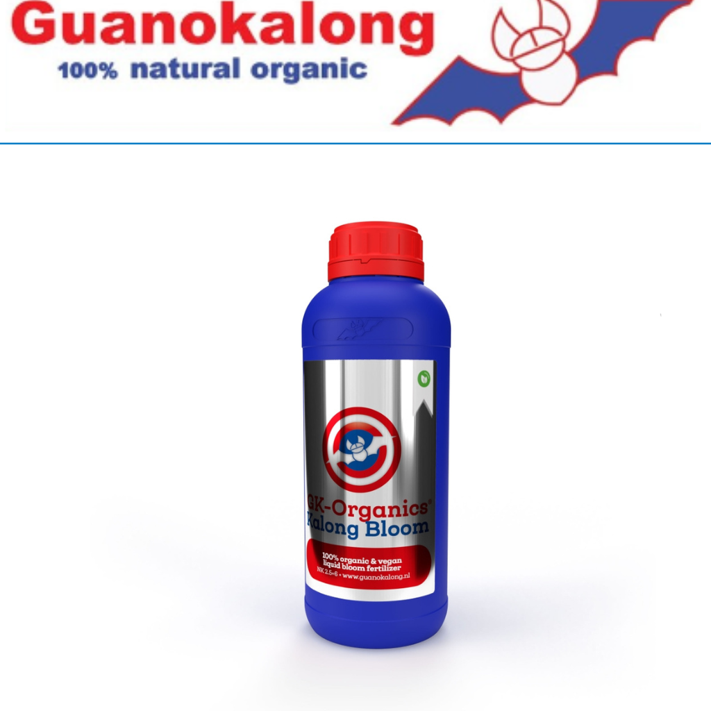 Guanokalong Kalong Bloom