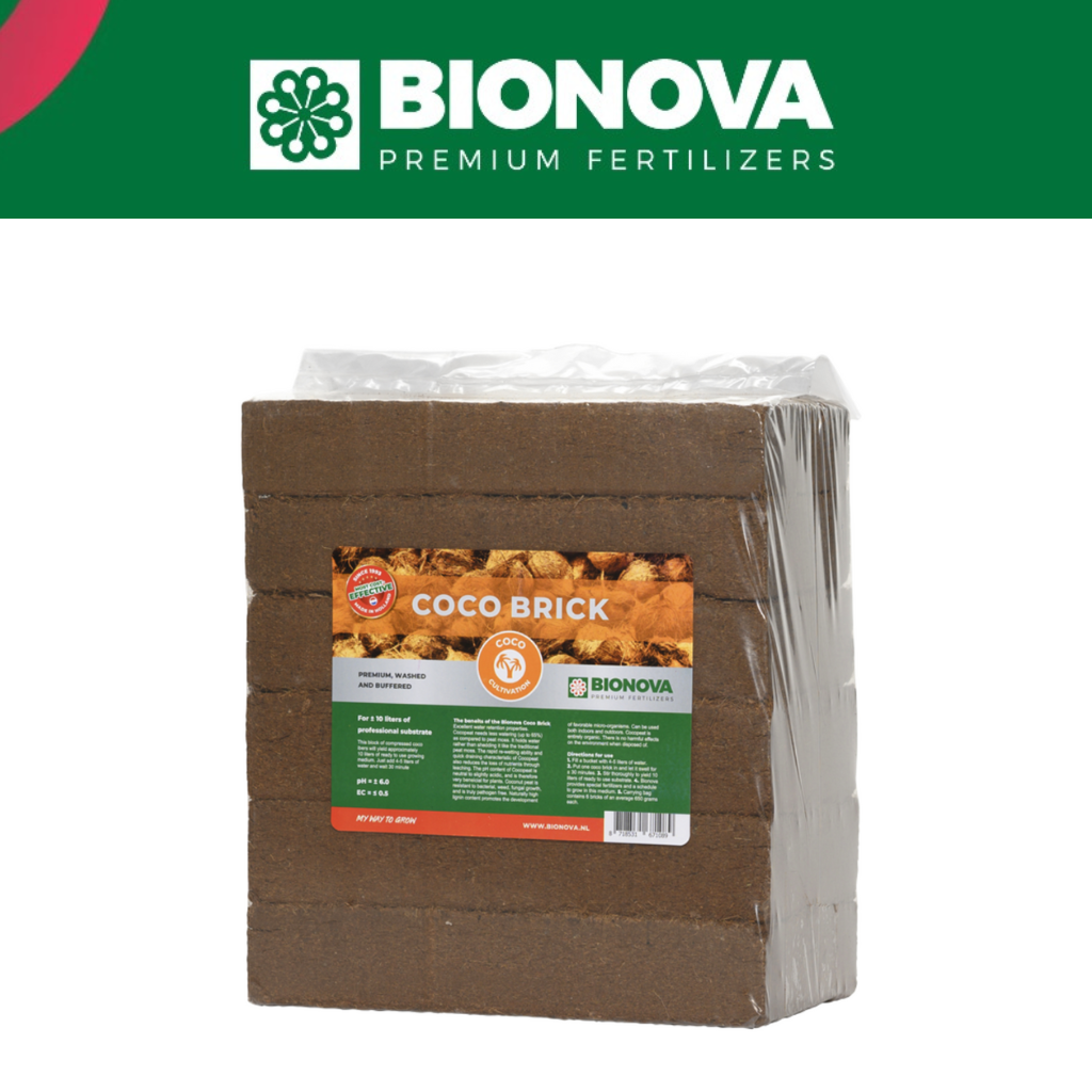 Bionova Coco Brick packaging with visible branding on a white background