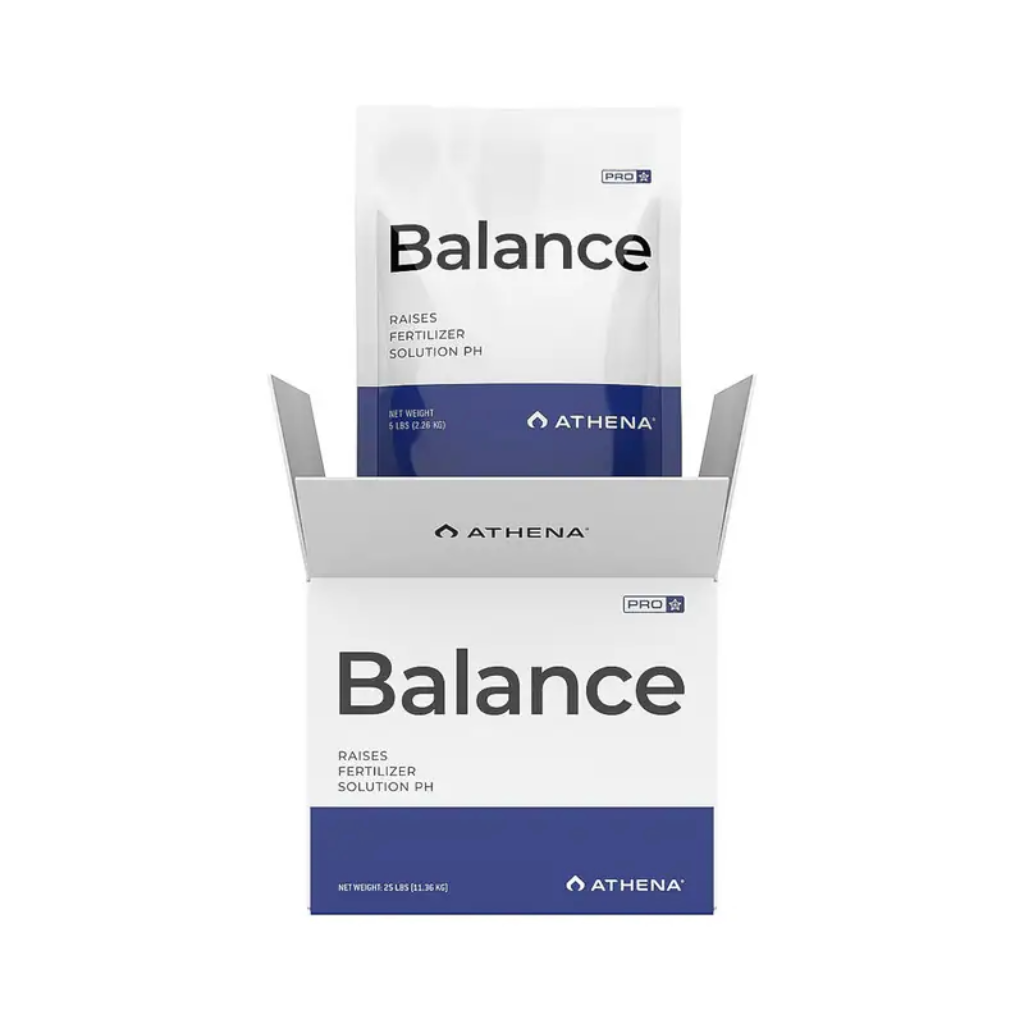 Athena Pro Line Balance 11.3KG 25lbs (MAIN)