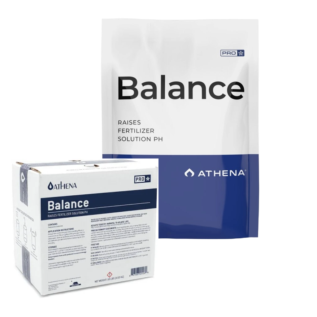 Athena Pro Line Balance 4.5KG 10lbs (MAIN)