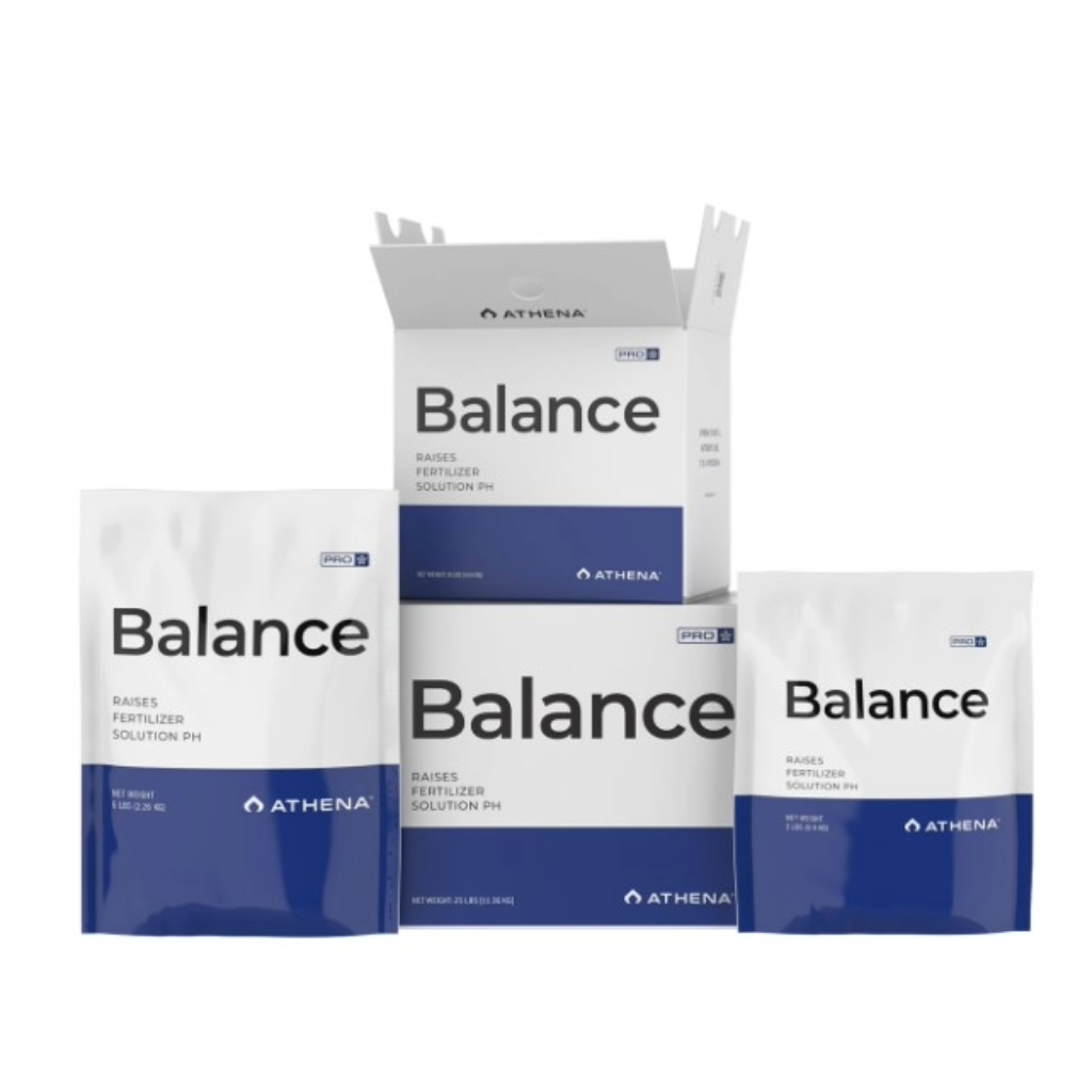 Athena Pro Line Balance 4.5KG 10lbs 11.3KG 25lbs (MAIN)