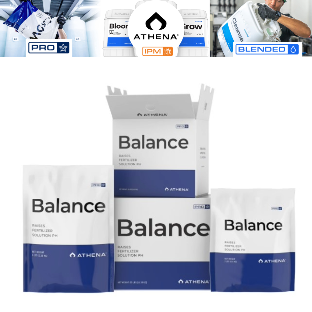 Athena Pro Line Balance