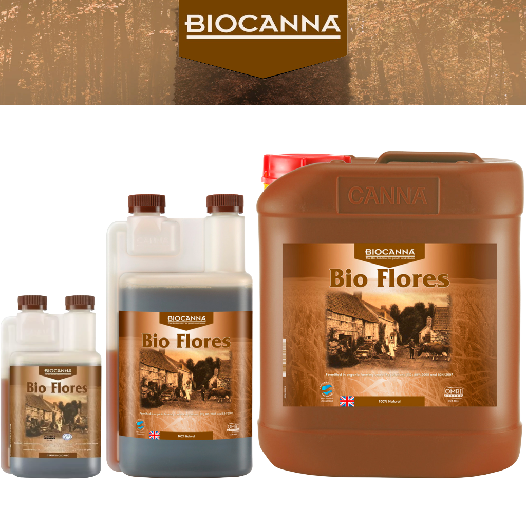 Canna Bio Flores