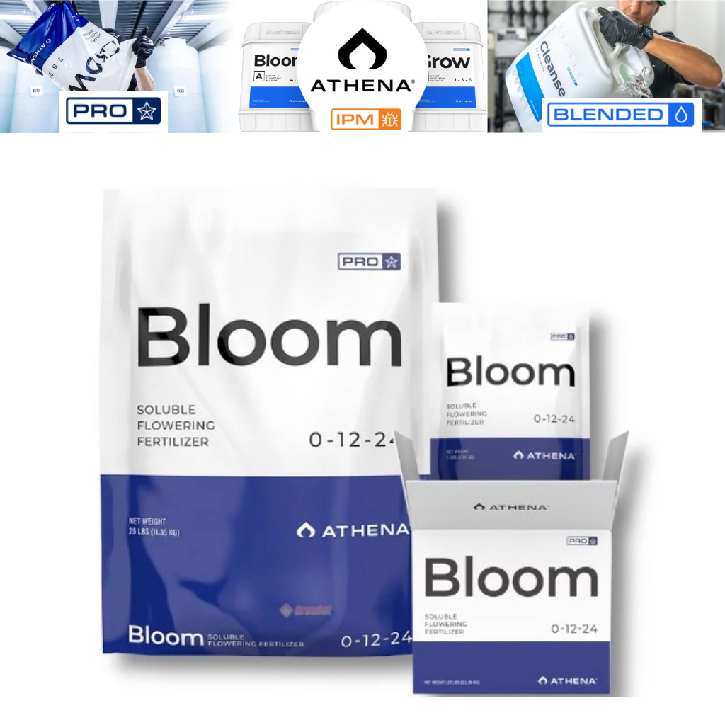 Athena - Pro Line - Bloom