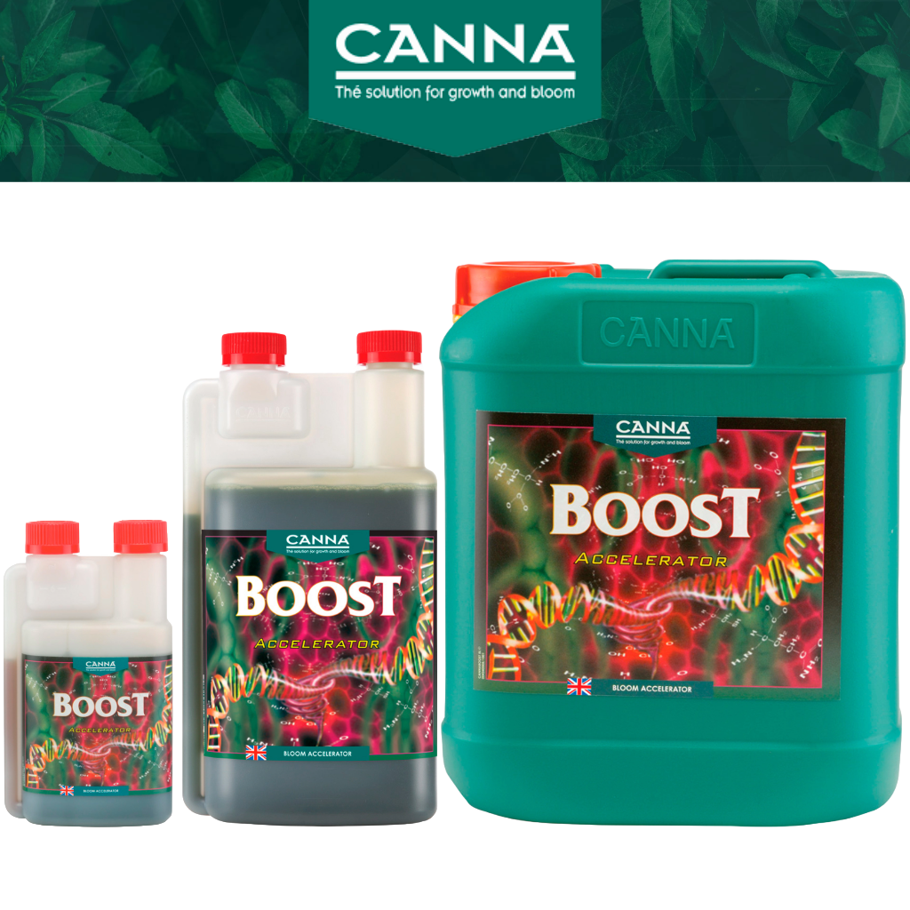 Canna Boost Accelerator