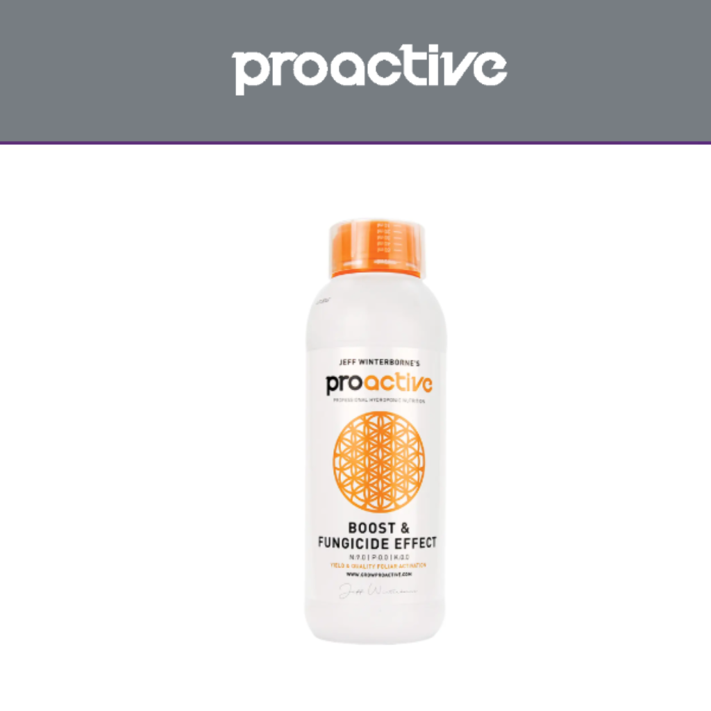 Boost & Fungicide Effect 1l