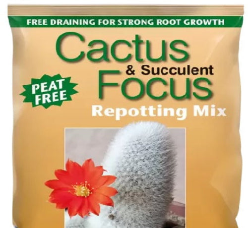 Growth Technology Cactus 