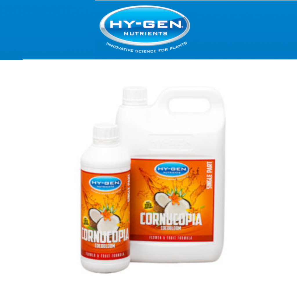Hy-Gen CORNUCOPIA COCO Bloom