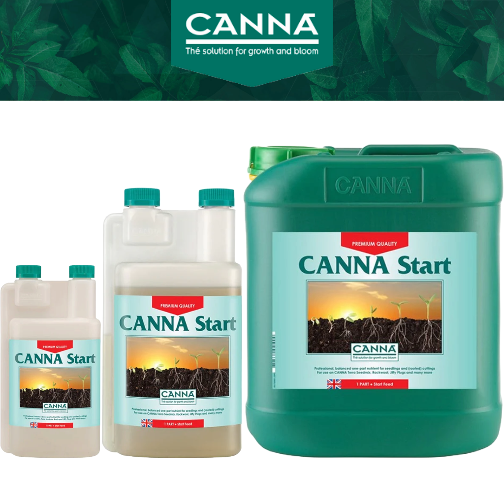 Canna Vega Start