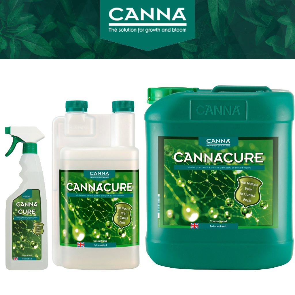 Canna Canna Cure