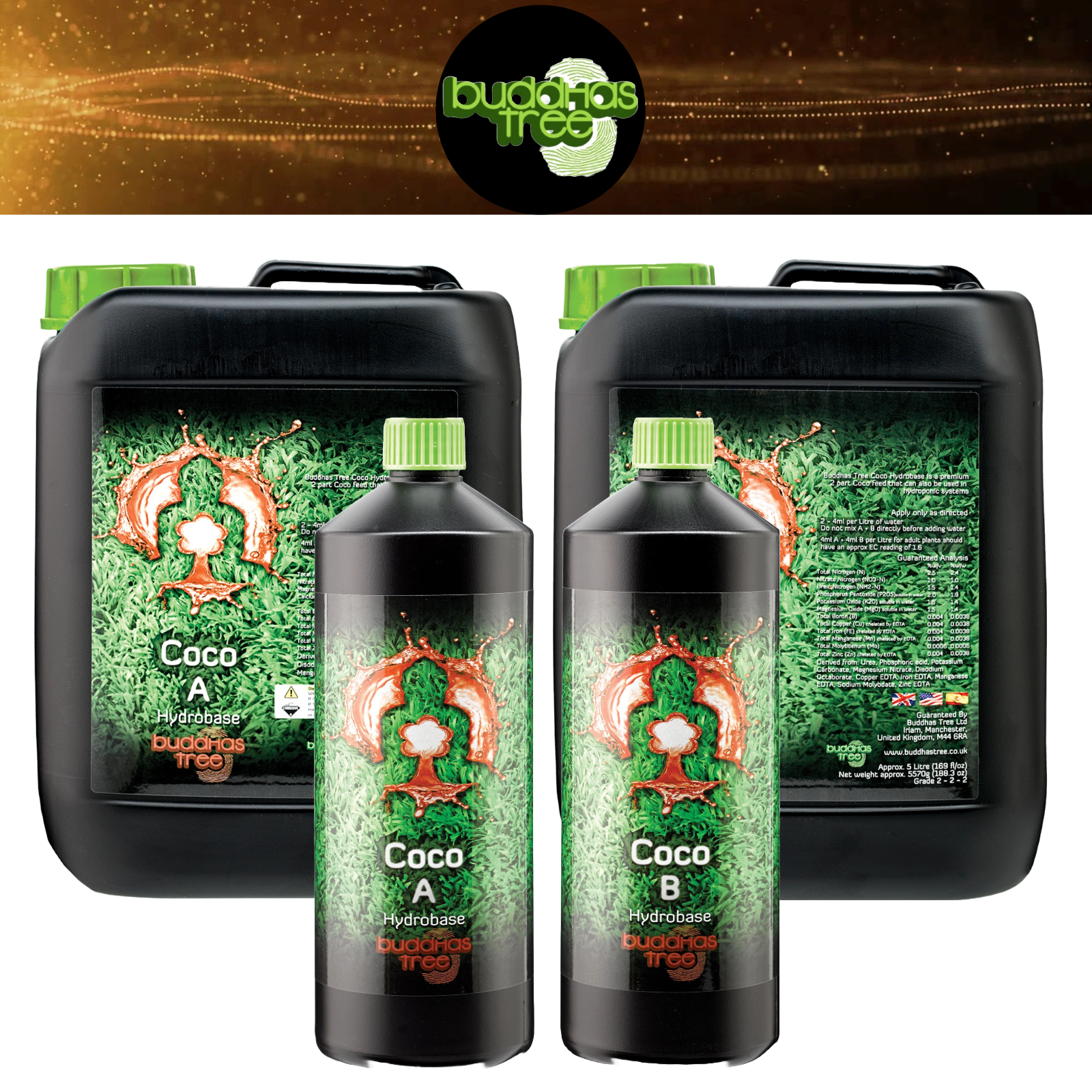 Buddhas Tree Coco A&B