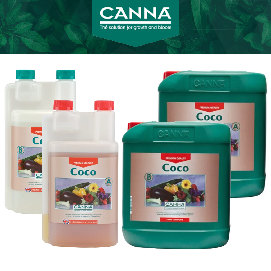 Canna Coco A&B