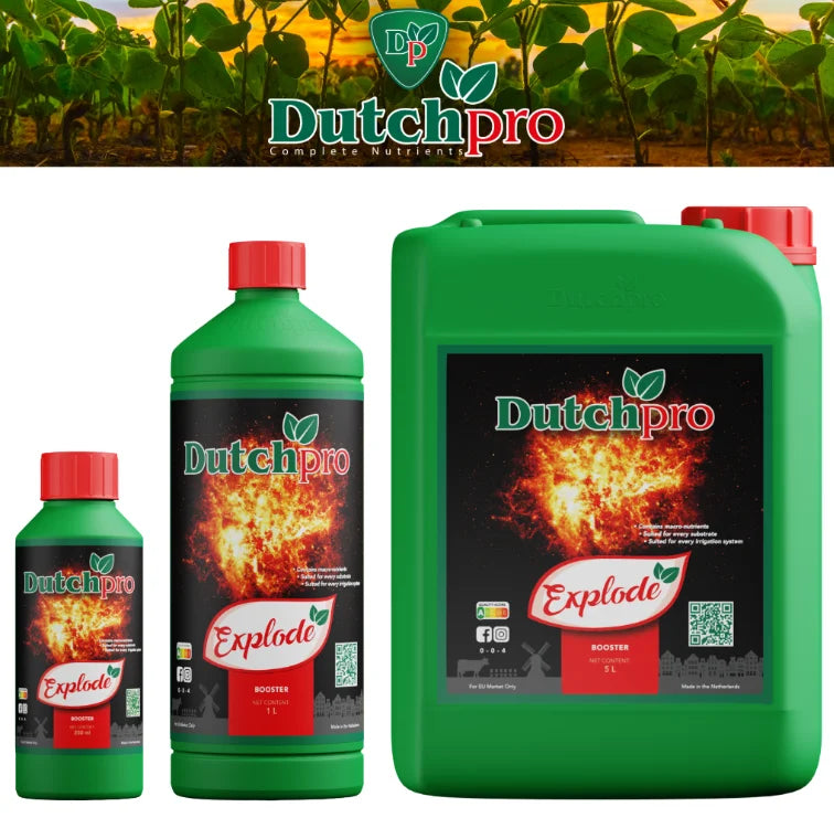 DutchPro Explode