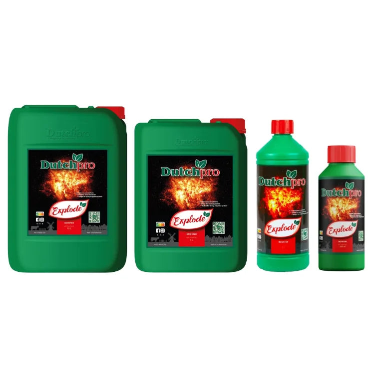 DutchPro Explode