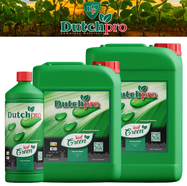 DutchPro Leaf Green