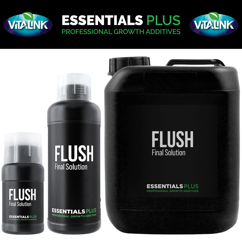 Essentials Plus Flush