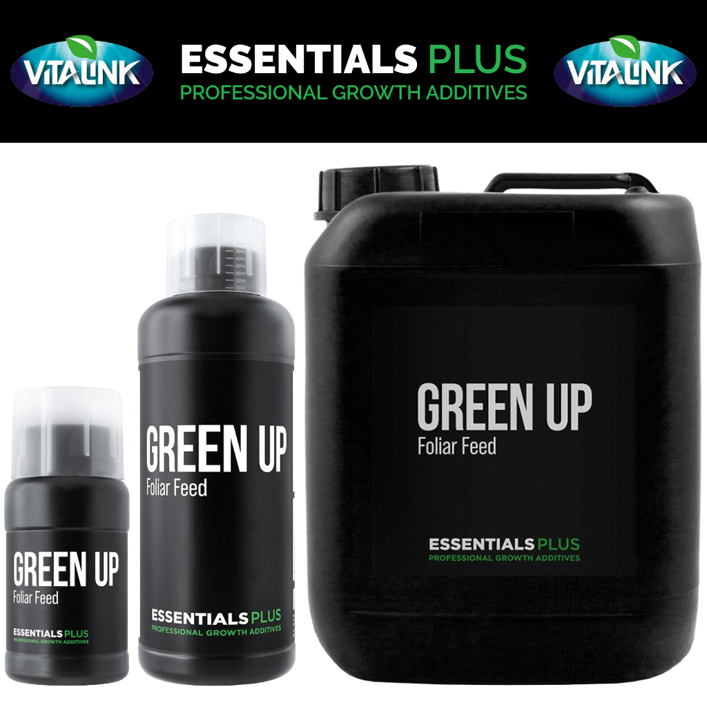 Essentials Plus Green Up