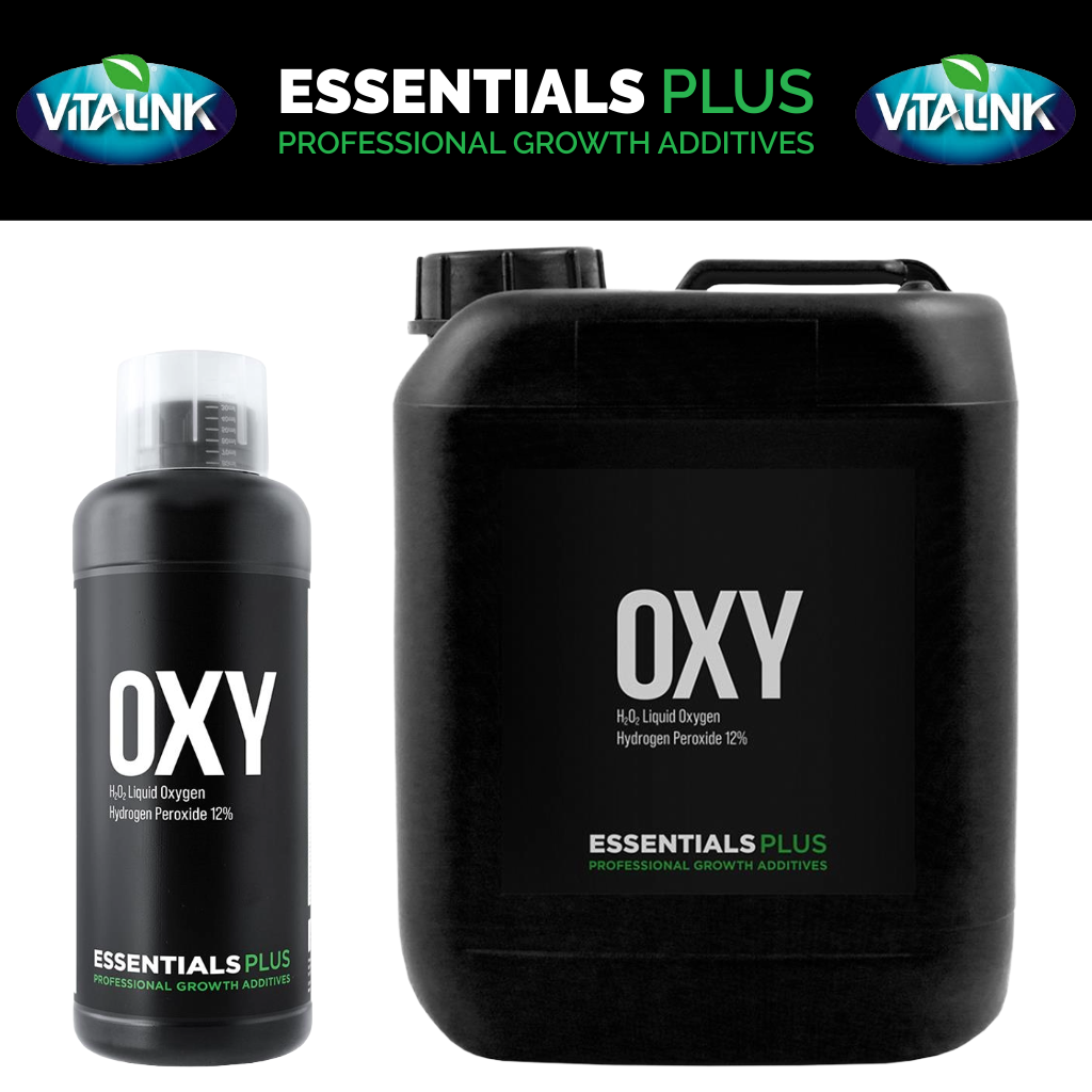 Essentials Plus OXY 12%