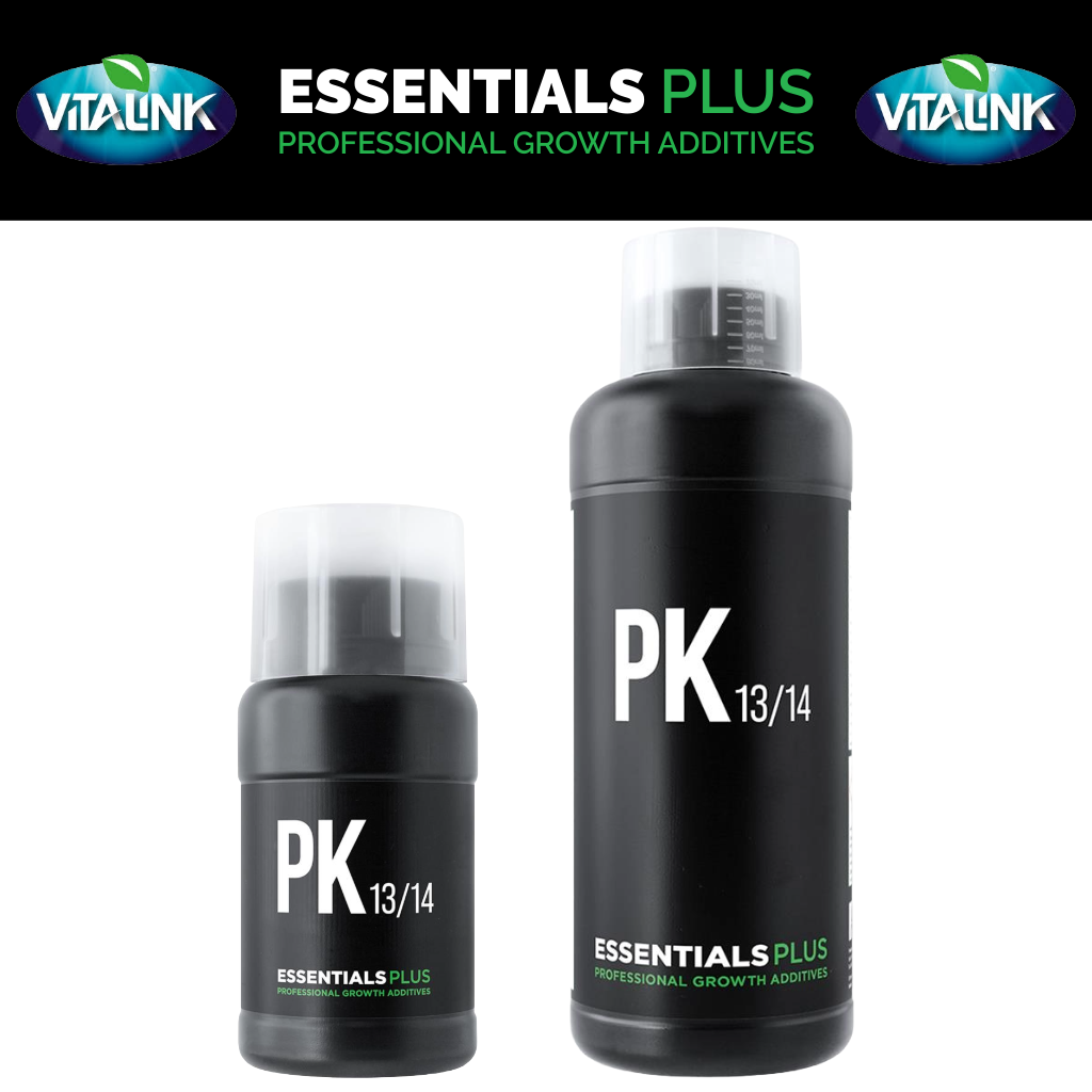 Essentials Plus PK 13/14