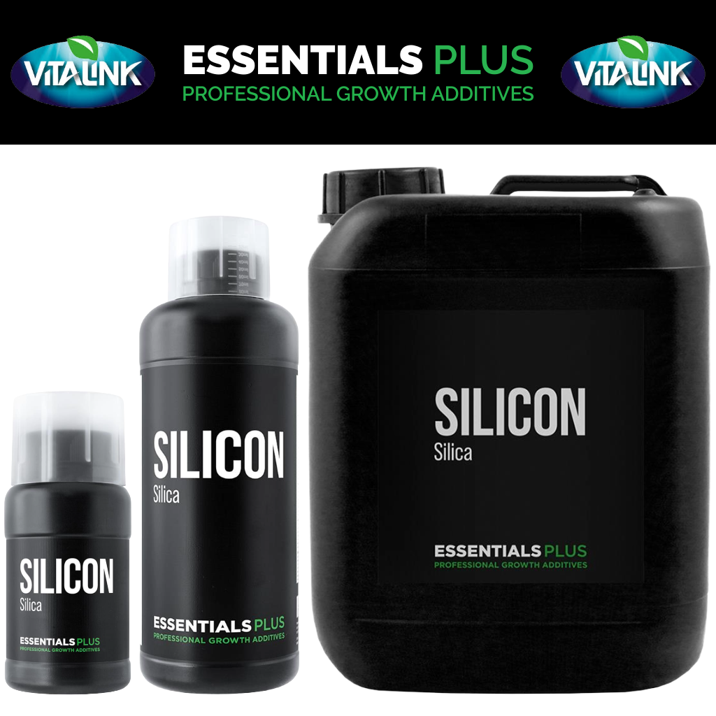 Essentials Plus Silicon
