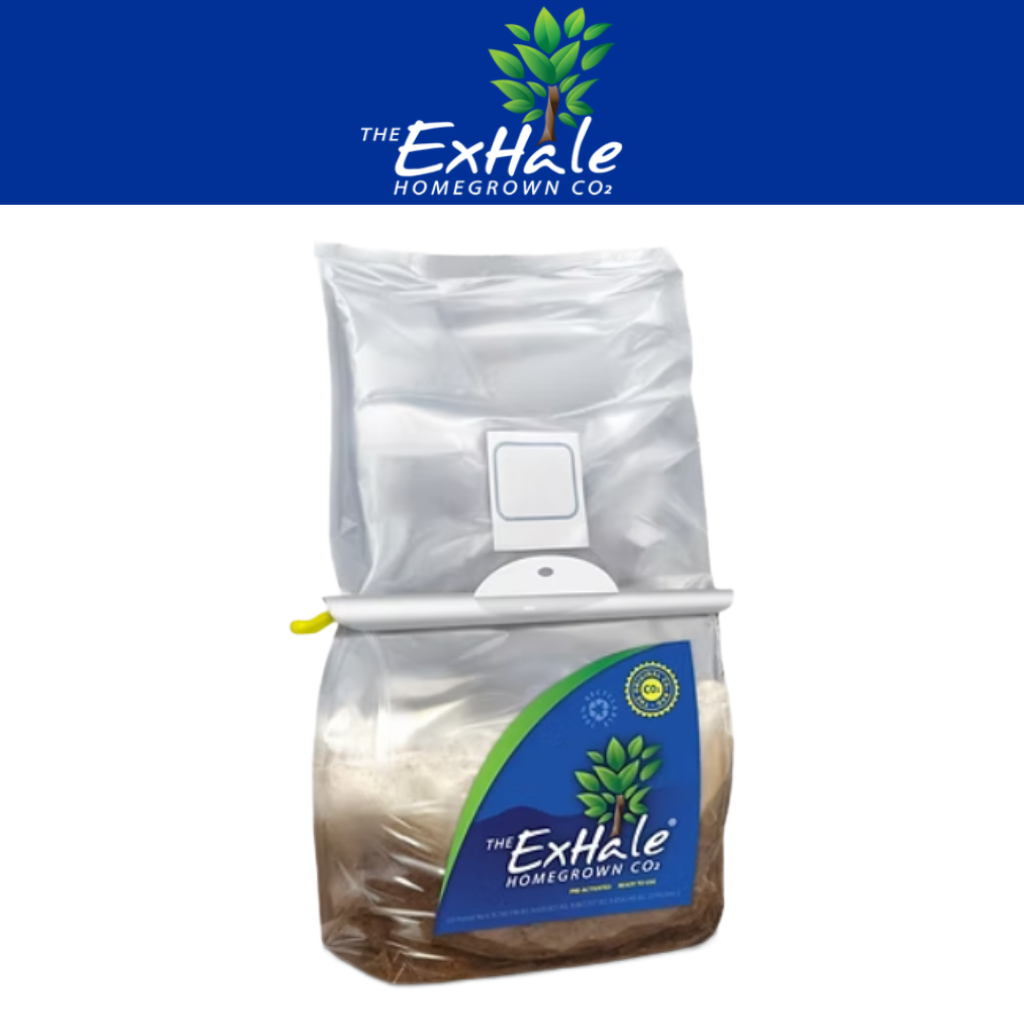 ExHale CO2 Bag